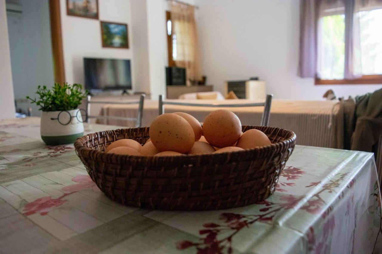 Efi'S Guest House Áyios Dhimítrios 외부 사진