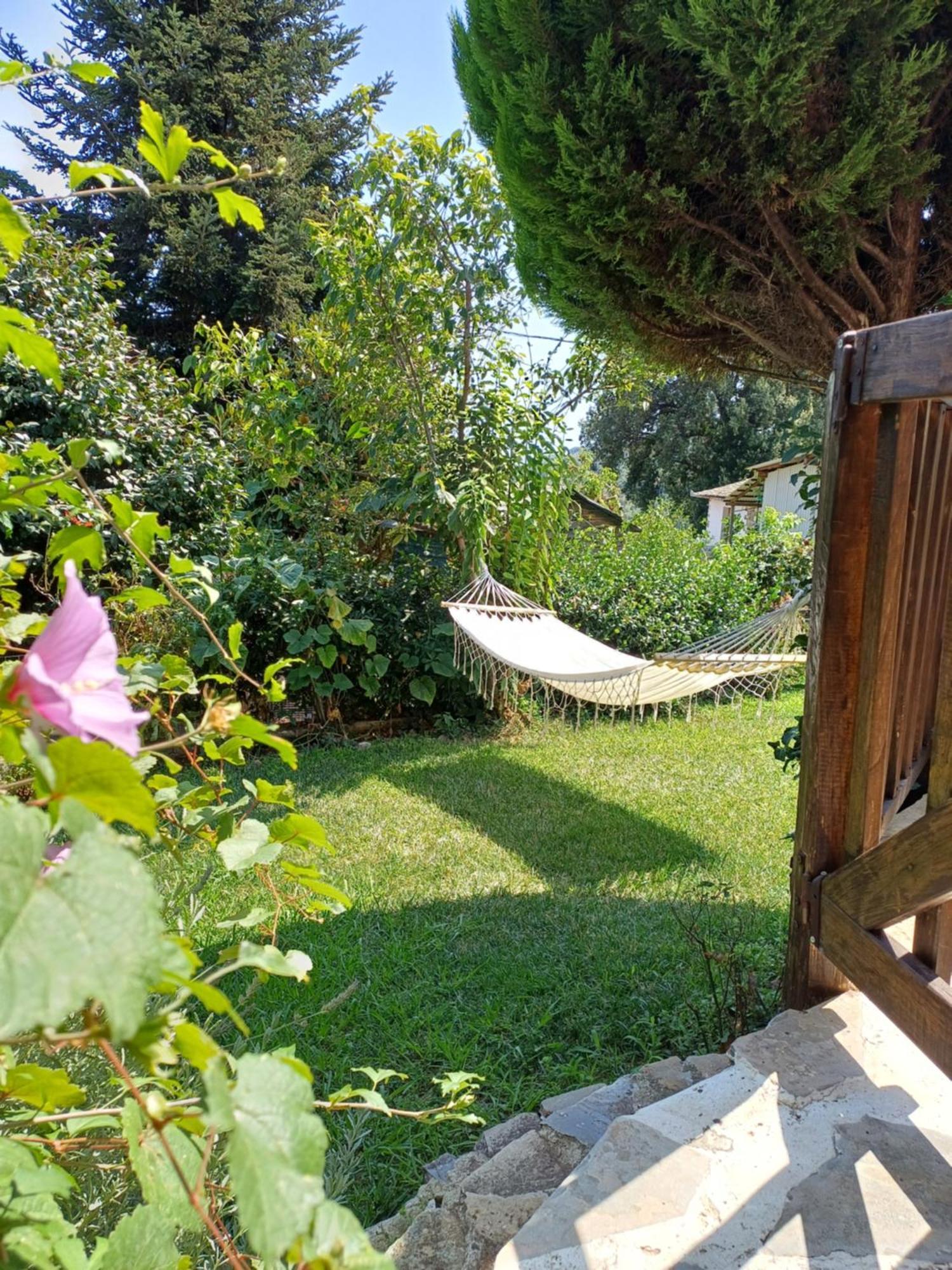 Efi'S Guest House Áyios Dhimítrios 외부 사진